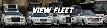 Markham Party Bus and Limo Fleet
